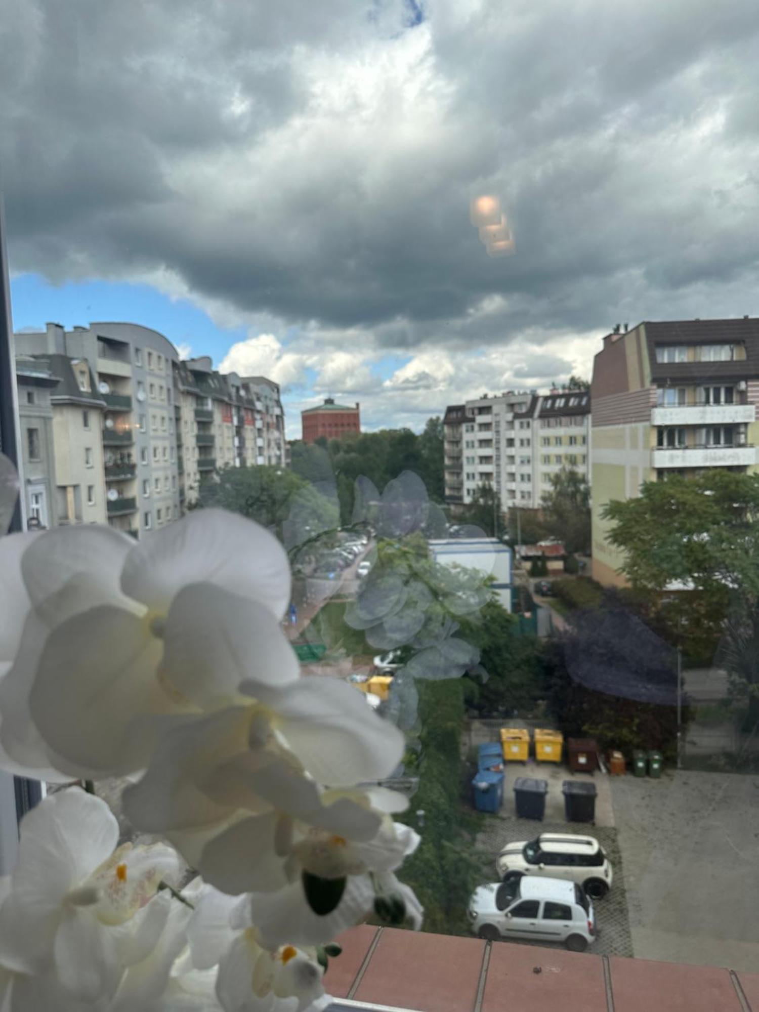 Apartament Diana - Traugutta فروتسواف المظهر الخارجي الصورة